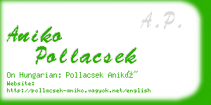 aniko pollacsek business card